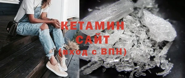 крисы Новозыбков