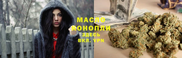 метадон Няндома